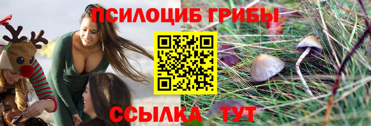Галлюциногенные грибы GOLDEN TEACHER Люберцы