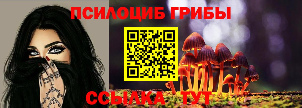 Галлюциногенные грибы Magic Shrooms  Галлюциногенные грибы прущие грибы  Вход с VPN  Люберцы 